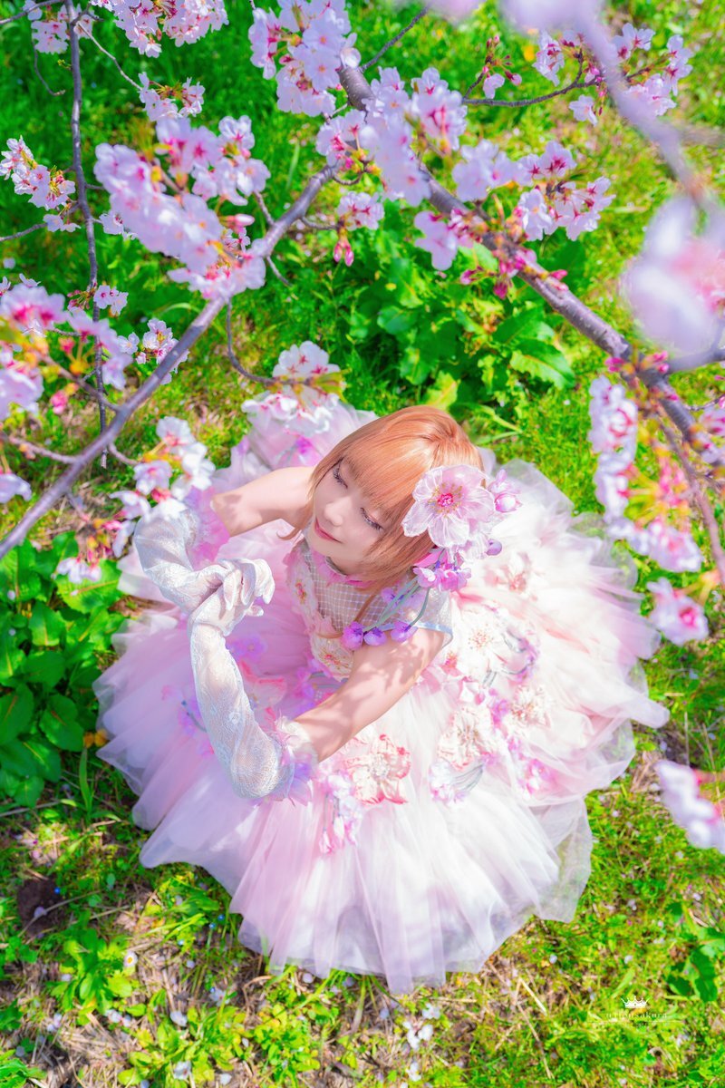 木之本桜」のYahoo!リアルタイム検索 - X（旧Twitter）を