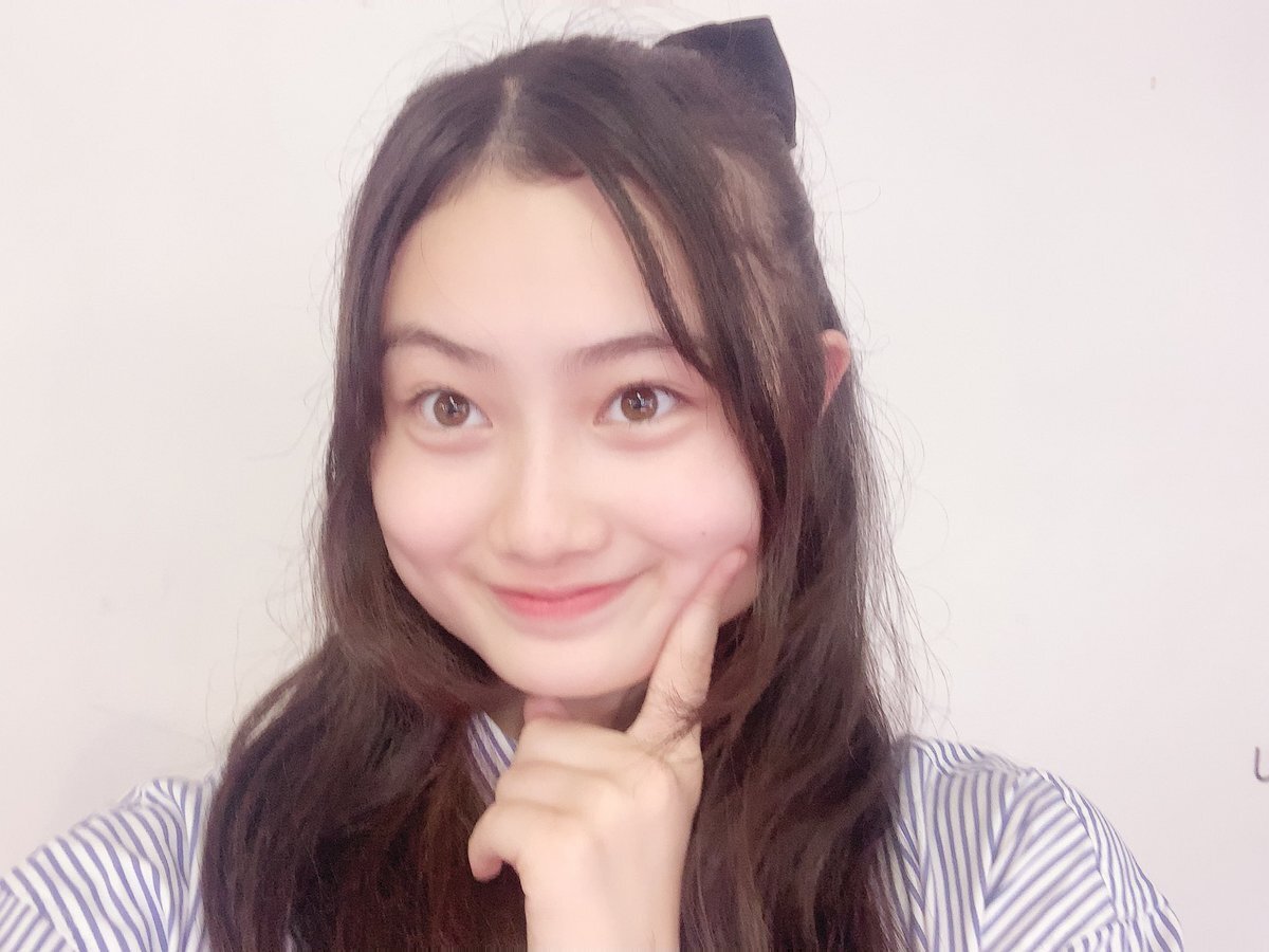 【あみ】 カーゴ、ルーフ キャリア 黒い網の折り畳み式のトレーラーの連結