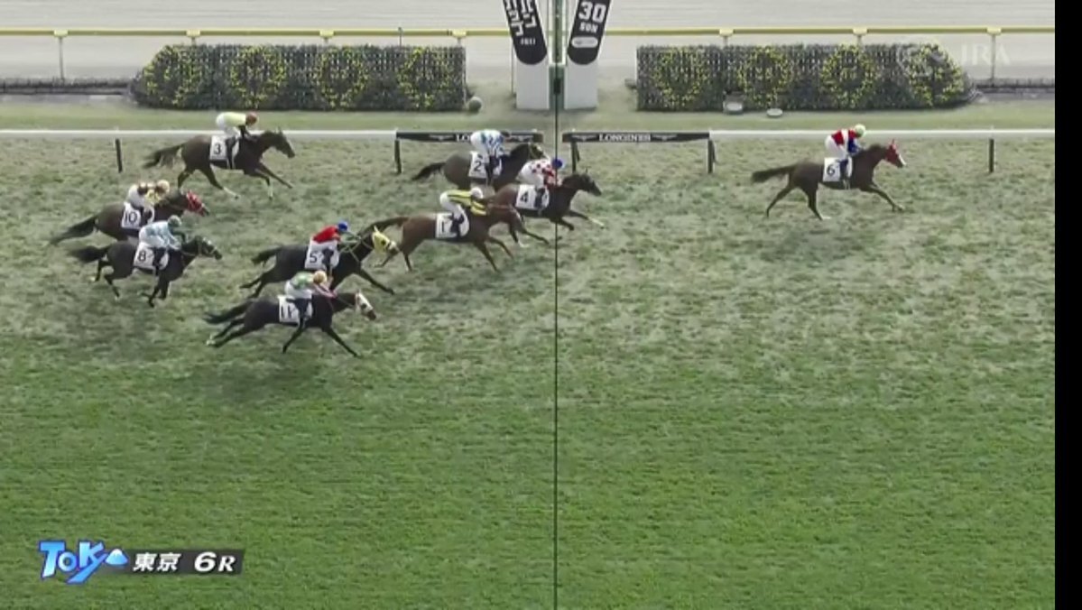 マジェステラ、新馬戦で3着！今後の活躍に期待