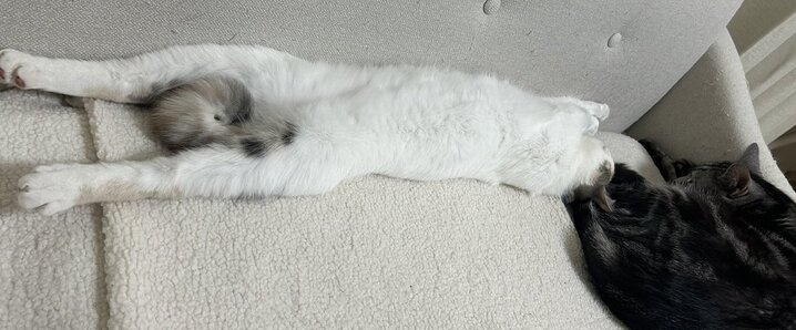 立浪」のYahoo!リアルタイム検索 - X（旧Twitter）をリアルタイム検索