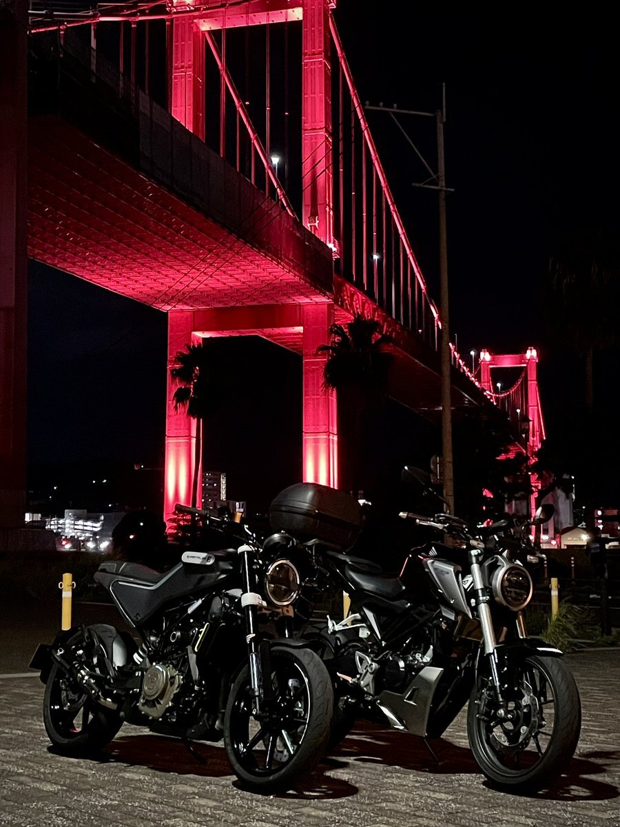 モミジです。 状態A-〕テツノブジンex【SAR】{213/187} - カードラッシュ