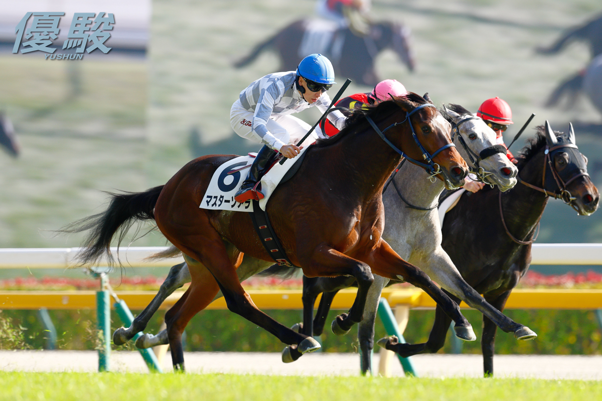 シスキン産駒のマスターソアラが勝利！JRA年間100勝達成の横山武史騎手