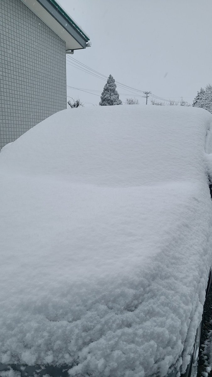 初雪到来！SNSで雪景色と雪道への不安が話題に