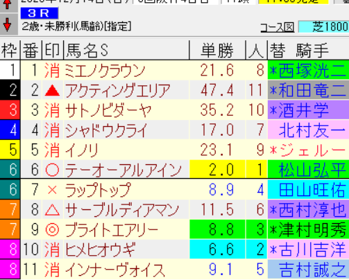 ブライトエアリー、阪神3Rで2着！ファン期待高まる