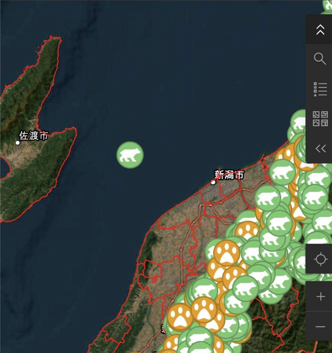 青森県で海を泳ぐクマが漁師に発見され駆除