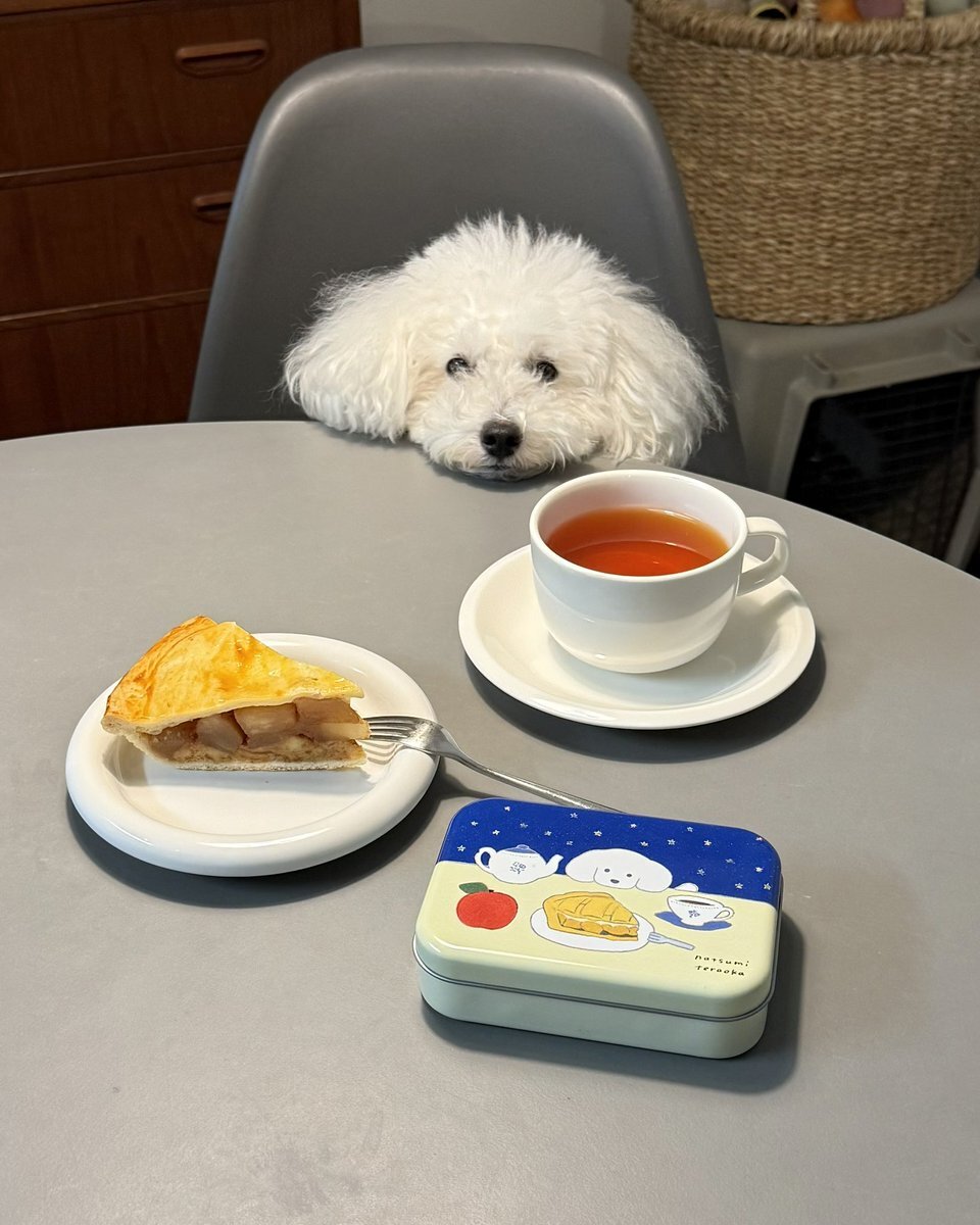 オルフェーヴルさま確認ページ♡ オルフェーヴル」のYahoo!リアルタイム検索 - X（旧Twitter）を