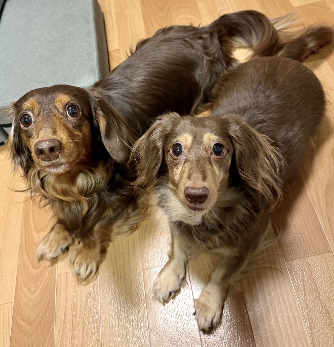 週末の過ごし方、Vtuberの配信、仕事と休日の投稿が話題に