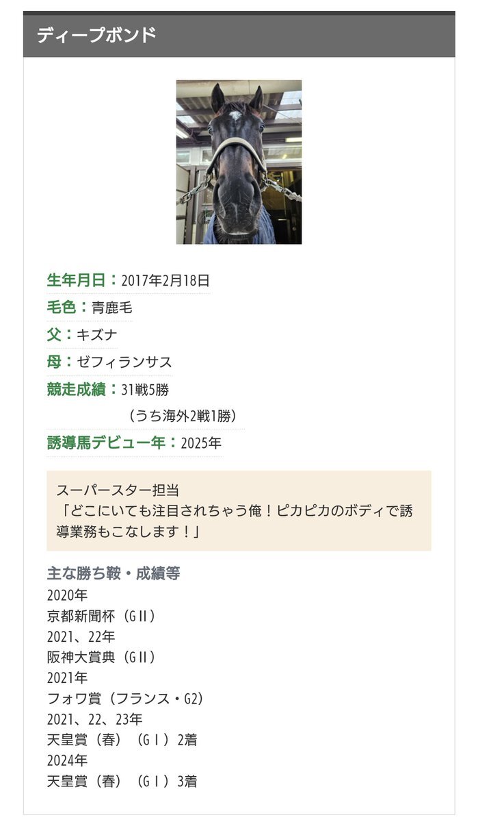 ディープボンド、スーパースター担当に！
