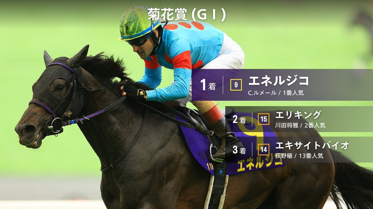 菊花賞、エネルジコが圧勝！ルメール騎手は3連覇なるか？