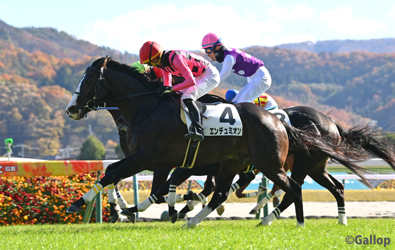 エンデュミオン、鷲頭虎太騎手とのコンビで障害オープン初勝利！