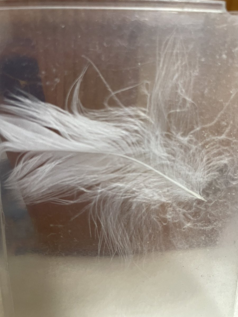 「明日の空の僕たちへ」で103期生を包む、特別な思い出