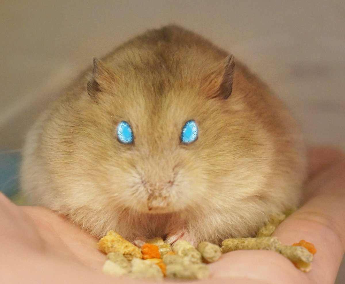 Cute のtwitter検索結果 Yahoo リアルタイム検索