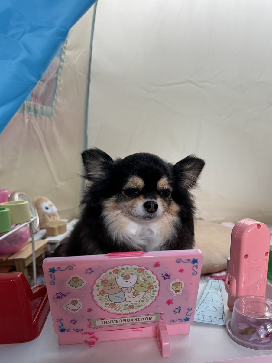 その他 nqrse nqrse 担当」のYahoo!リアルタイム検索 - X（旧Twitter）を