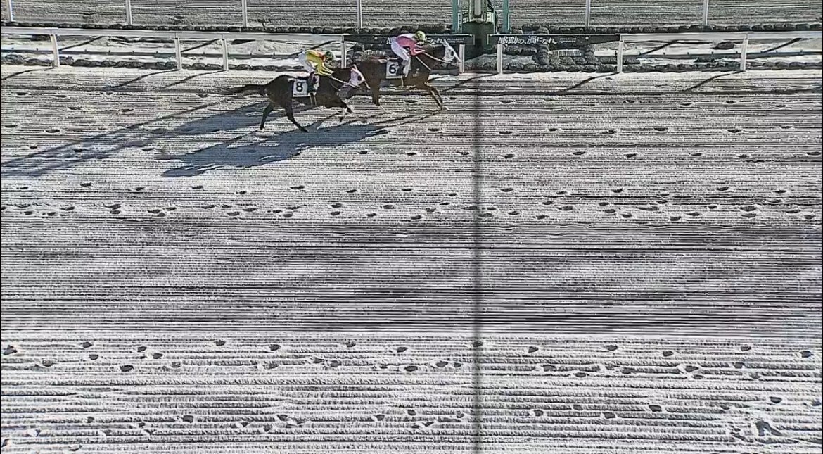 フィレタン、船橋7Rで圧勝