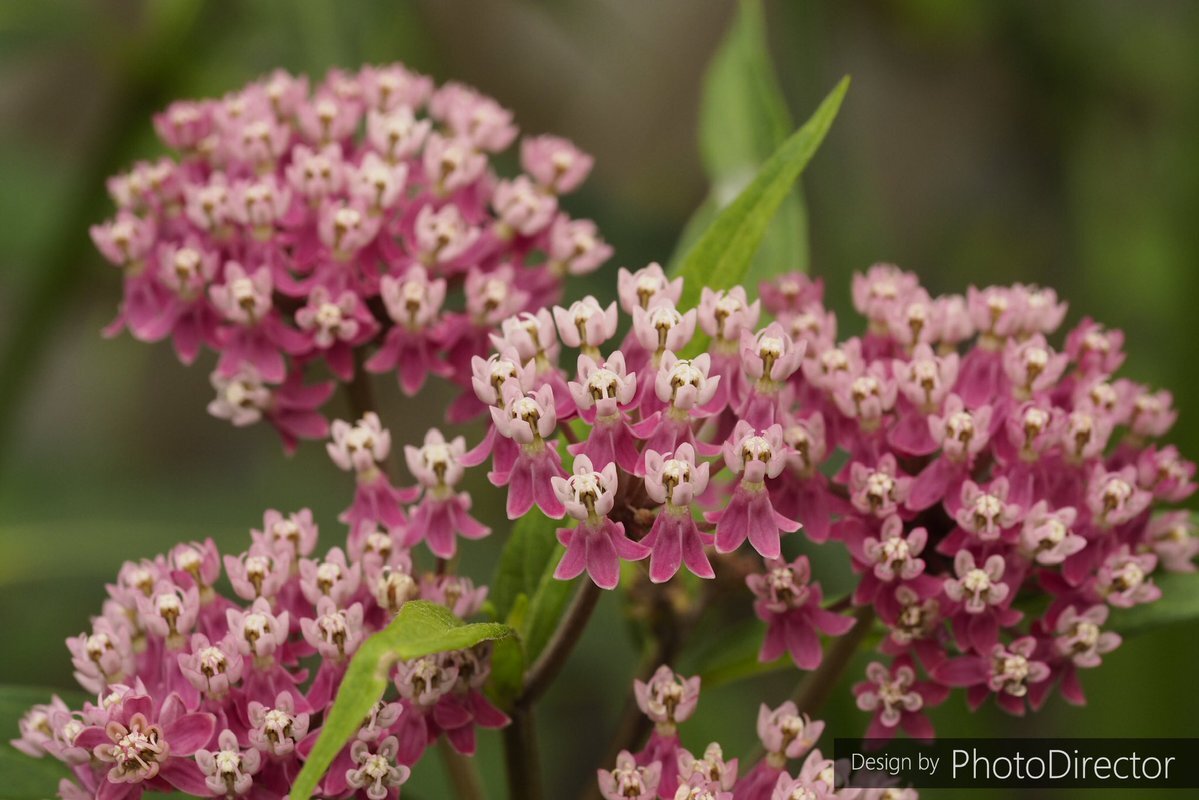 紙の保険証、来年3月末まで使用特例