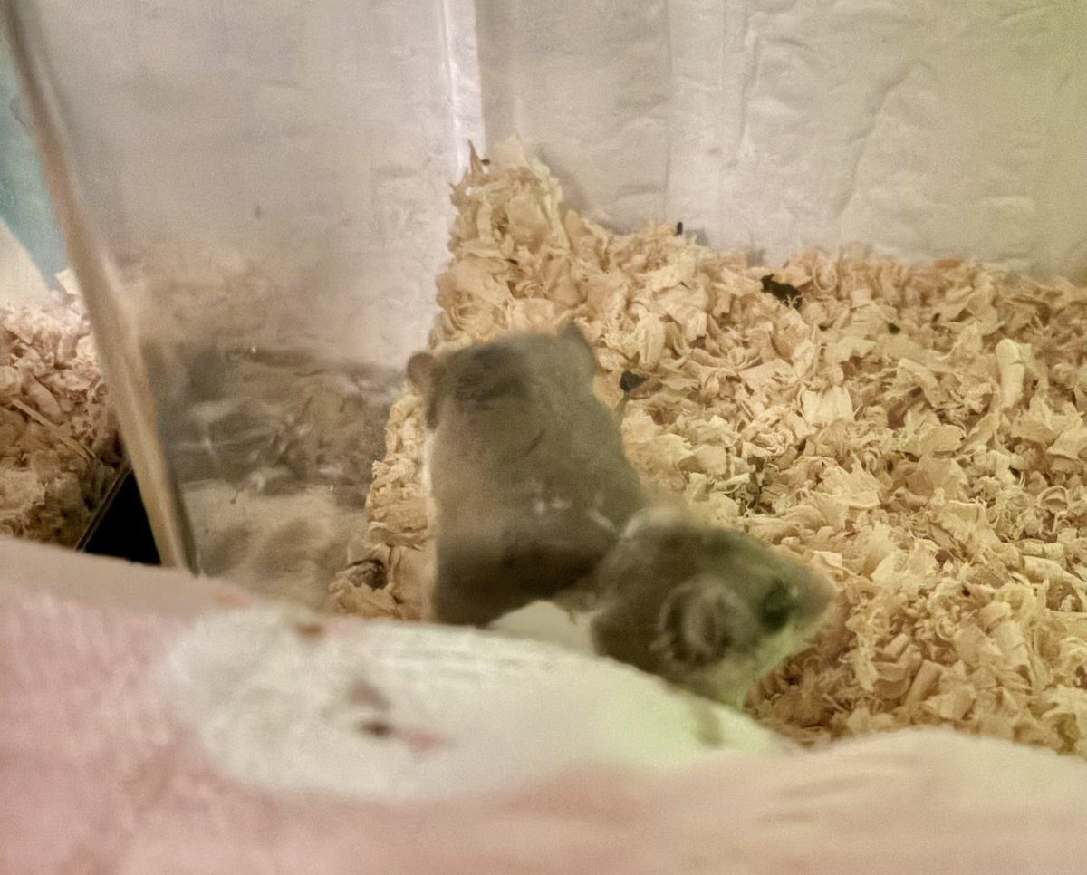 電気消して寝る、寝る前に電気をつける、そんな日常の投稿が話題に