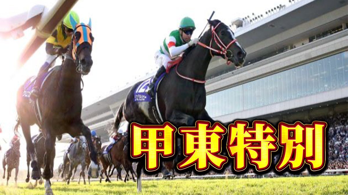 ネーヴェフレスカ、甲東特別で勝利！ファン歓喜