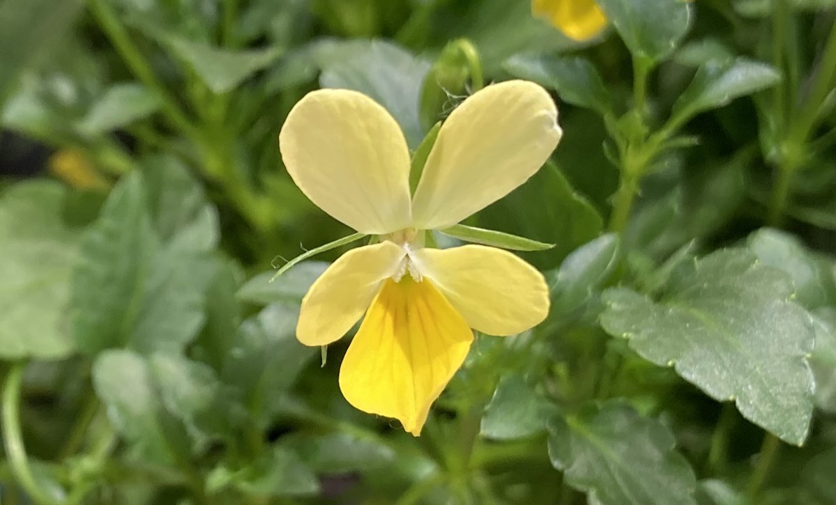11月26日は「いい風呂の日」や「ポリフェノールの日」など、様々な記念日！