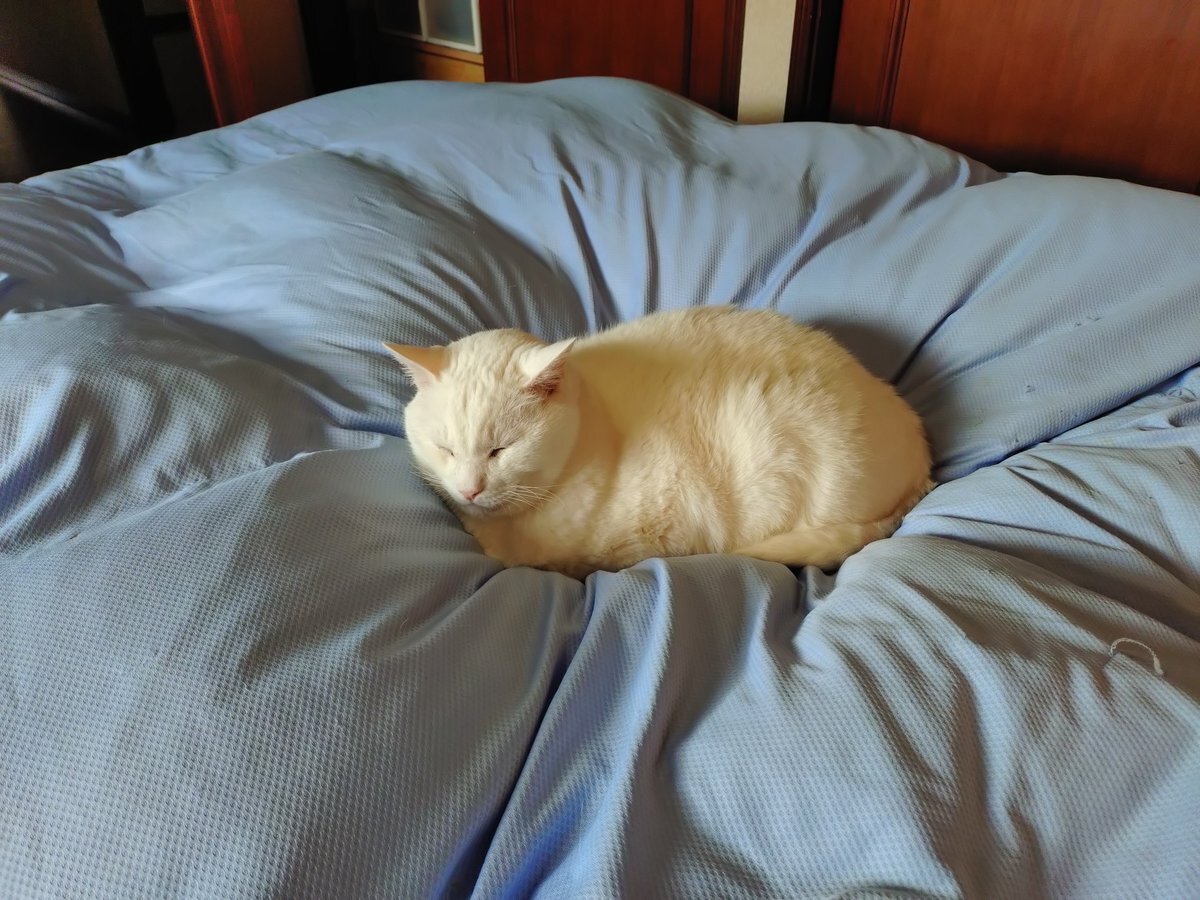 自民党、2027年から防衛特別所得税導入へ　実質負担増に批判の声