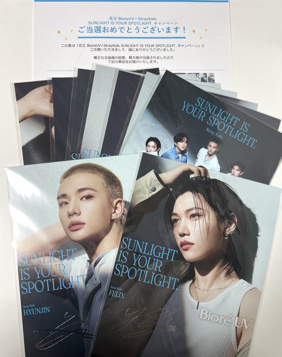 スキズ　ビオレUV ポスター　 StrayKids 非売品 花王ビオレUV Stray Kids サイン入りミニポスター9種 スキズ