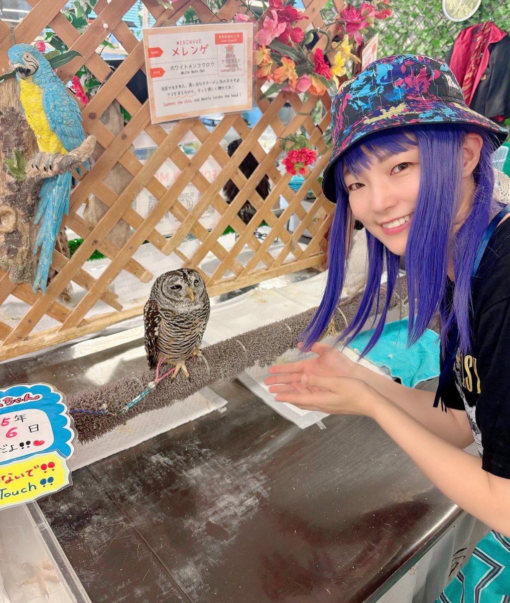 なんかよく分からないフクロウ フクロウ」のYahoo!リアルタイム検索 - X（旧Twitter）を