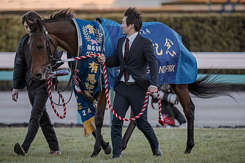 サンデーレーシング、エリザベス女王杯でまたしても圧勝！ 
