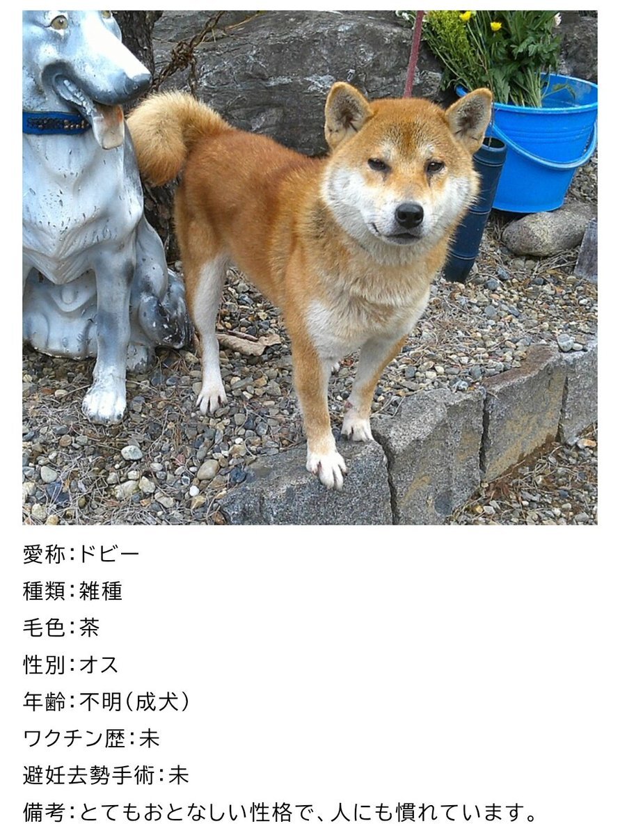 はじめまして　♡ページ X（旧Twitter）で話題のおもしろ画像や動画 - Yahoo