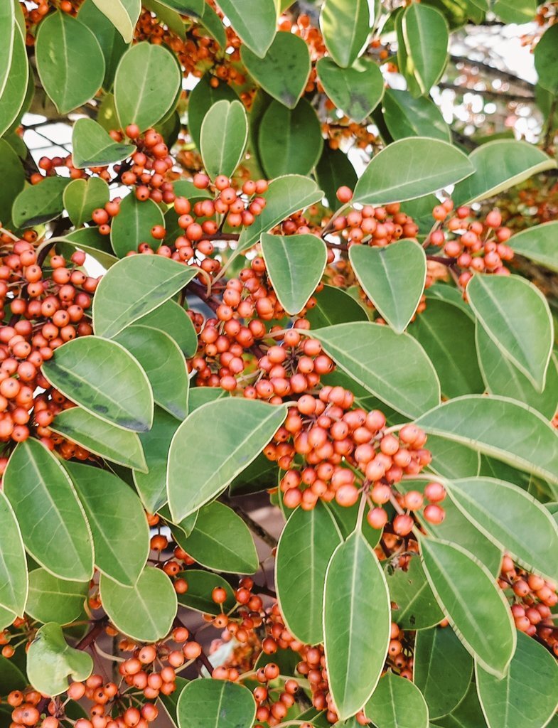 連休明けの仕事、みんなどうしてる？