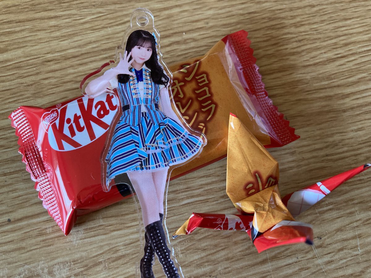 くまた ぬいぐるみ くま 特大 クマ コストコ 熊 テディベア 抱き枕