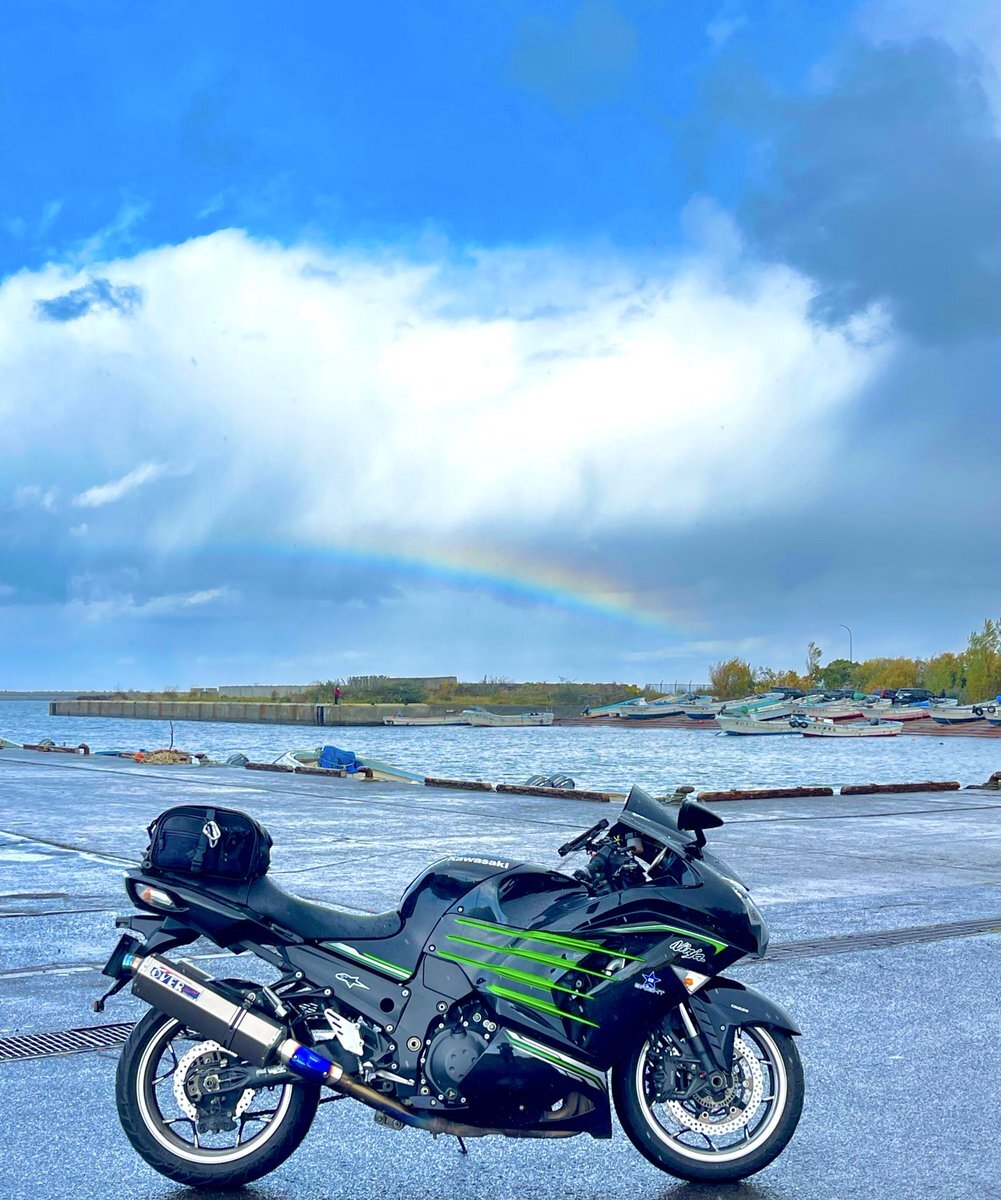 なみ Fighting Sports Fury プロフェッショナル トレーニンググローブ