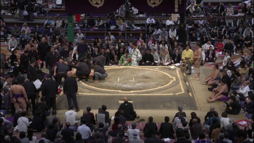 三田力士、九州場所での怪我で心配の声