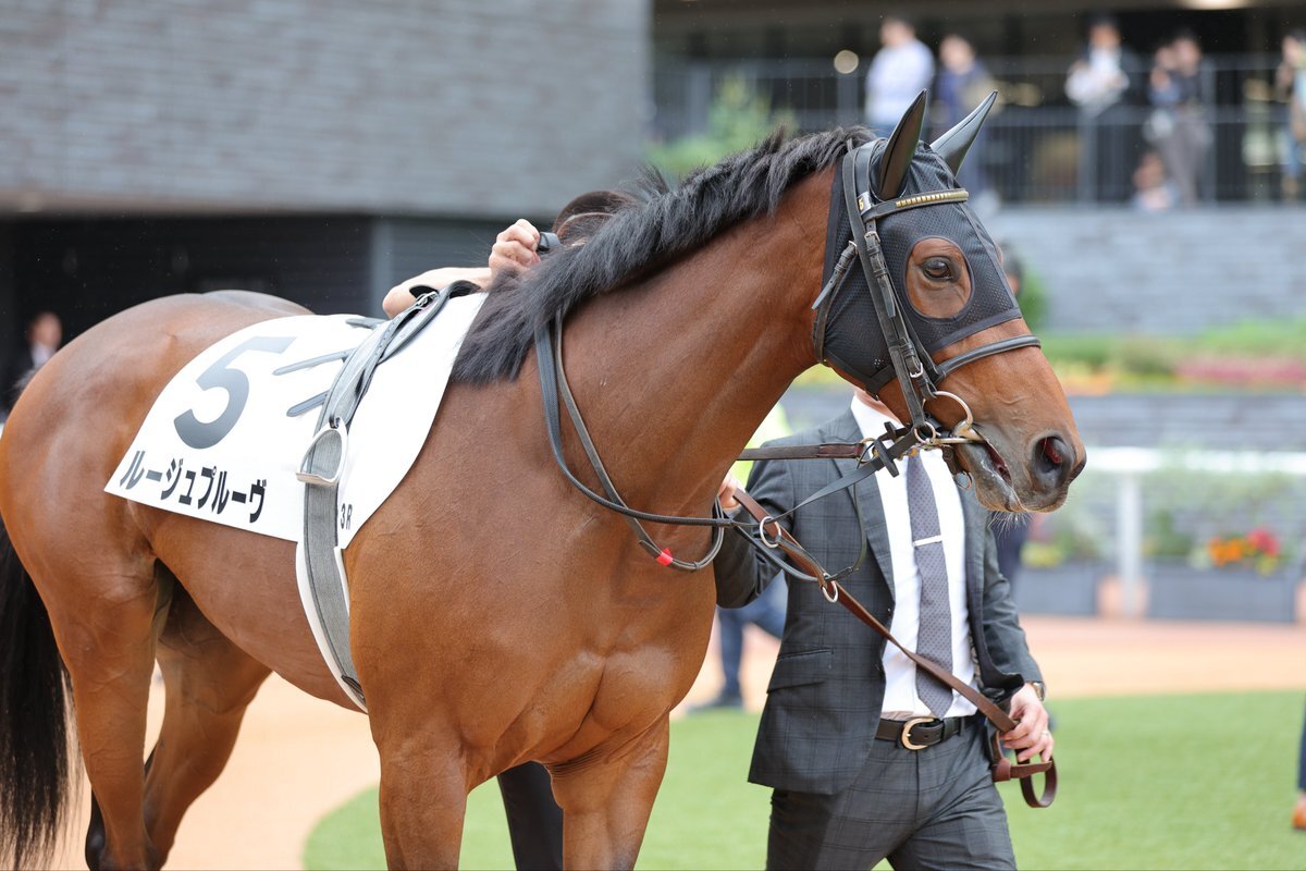 ルージュプルーヴ、京都競馬で期待外れの結果に？