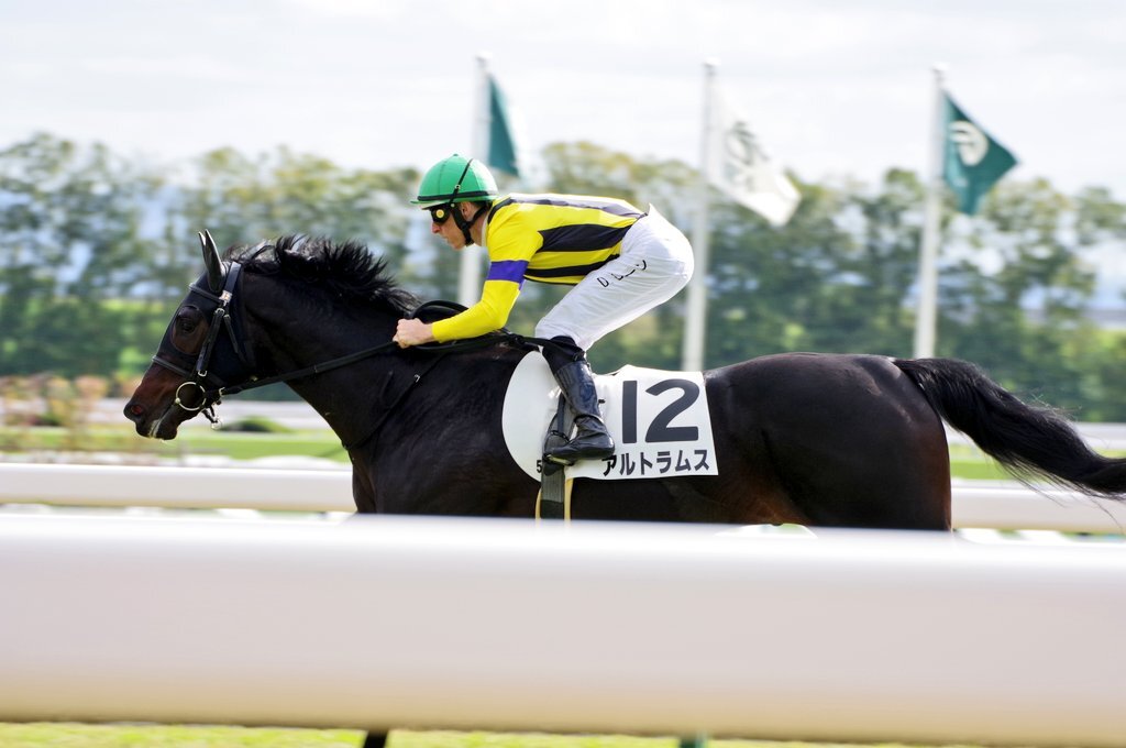 幸英明騎手、復帰早々京都競馬場3Rで落馬負傷