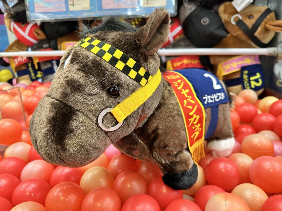 サラブレッドコレクション 新作」のYahoo!リアルタイム検索 - X