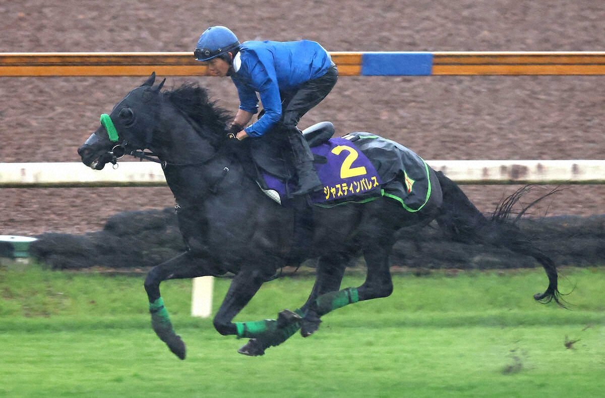 ジャスティンパレス、引退後は種牡馬に