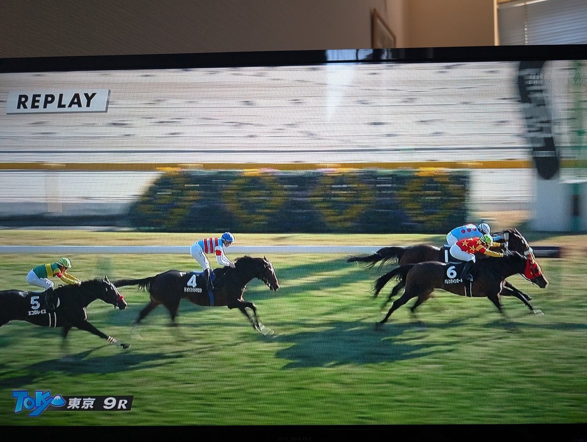 内田博幸騎手、外国人連勝ストップ！バレンタインガールで勝利