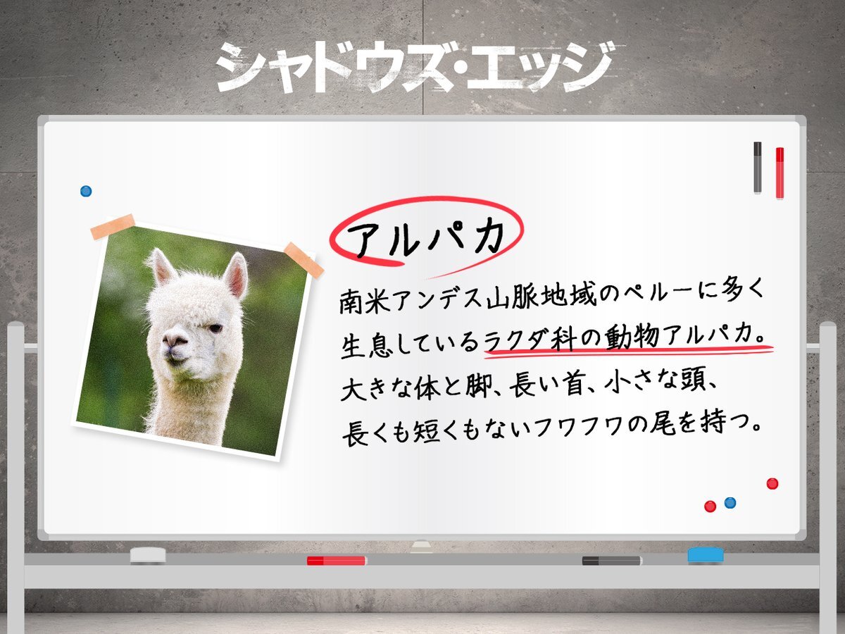 トランプ大統領の要望で実現？ジャッキー・チェン主演「ラッシュアワー4」製作決定