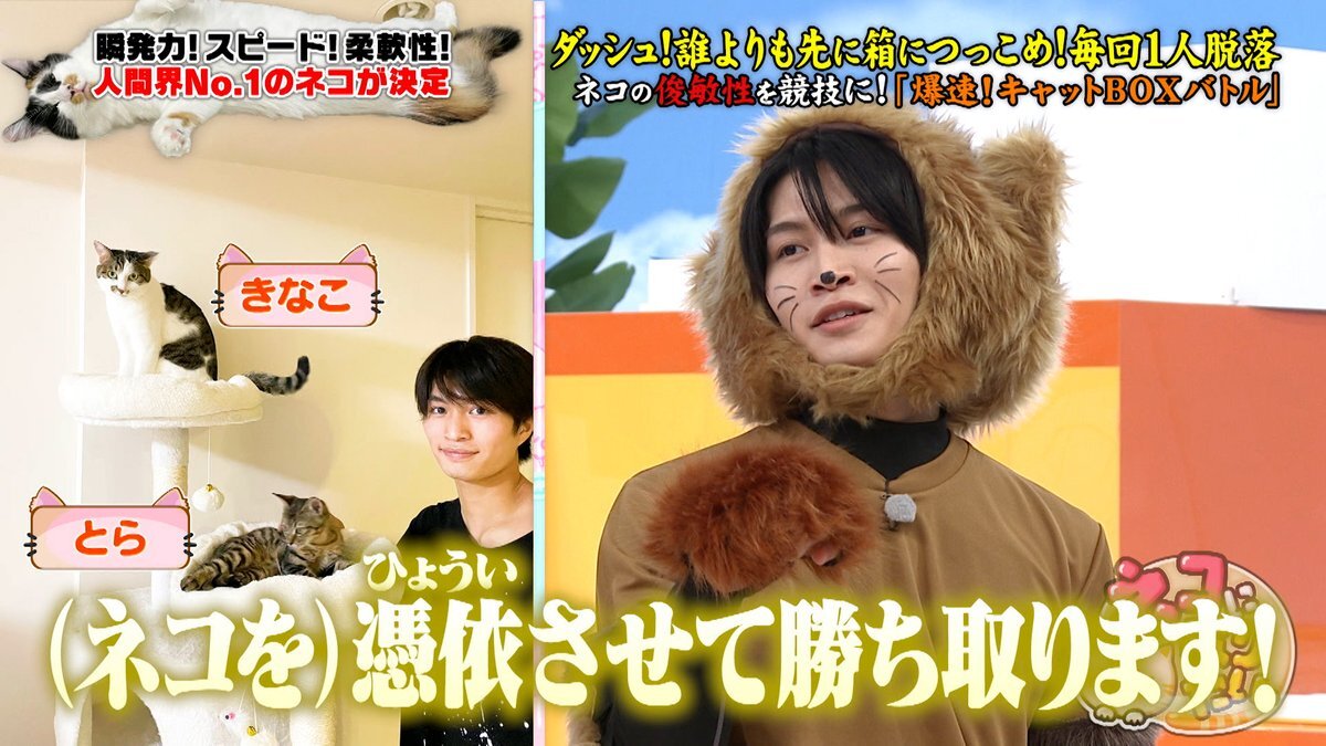 那須雄登らが出演！「ネコになりたい。」に視聴者興奮！