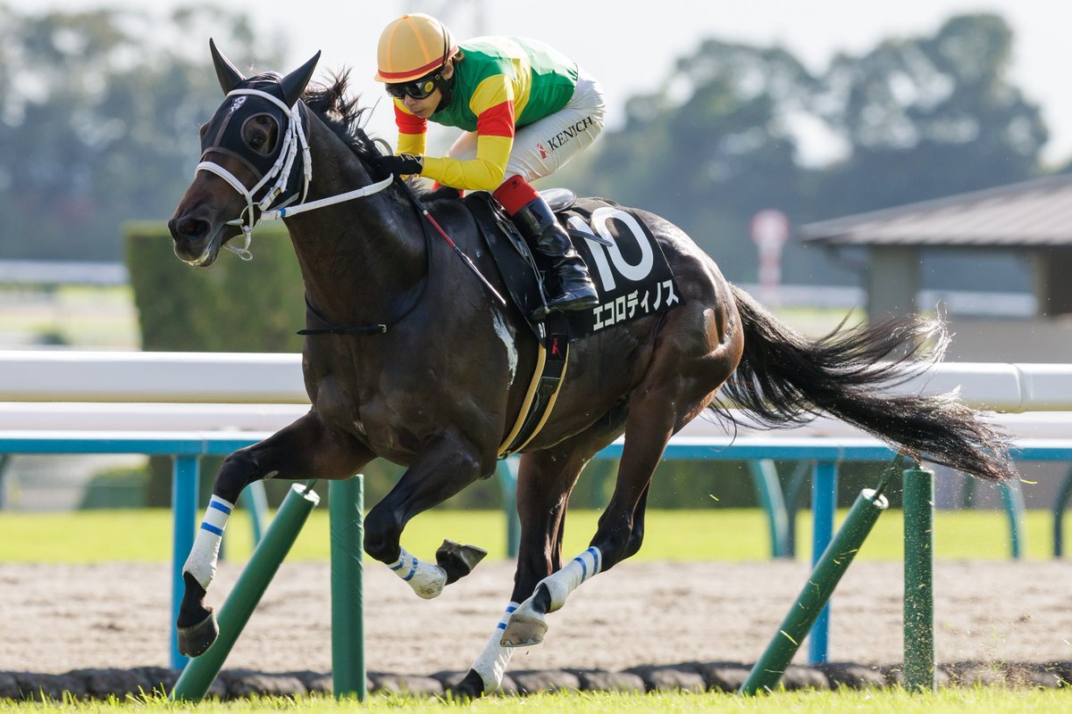 エコロディノス、北野特別で圧勝
