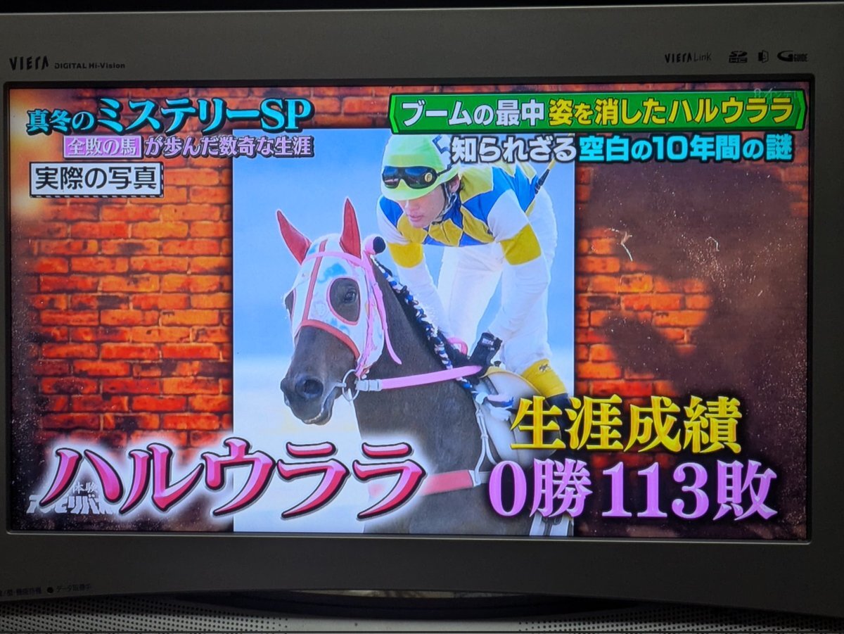 ハルウララ、アンビリバボーで特集され感動の声多数