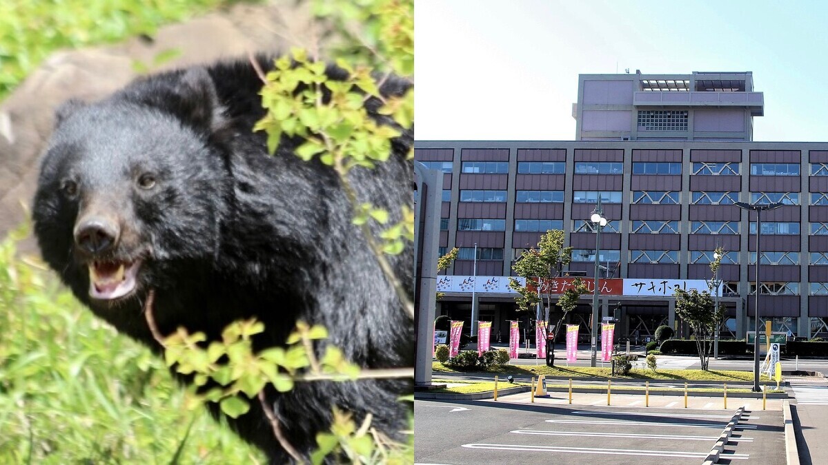クマ問題で意見対立、役所困惑