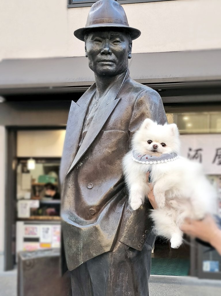 ポメラニアンの可愛さに癒される！INI藤牧京介さんとの動画が話題に
