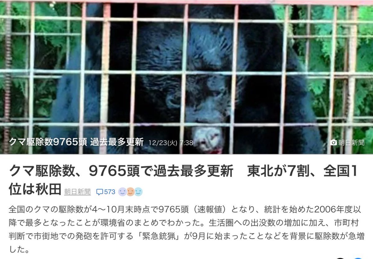 クマ駆除数過去最多更新　9765頭、東北で深刻化