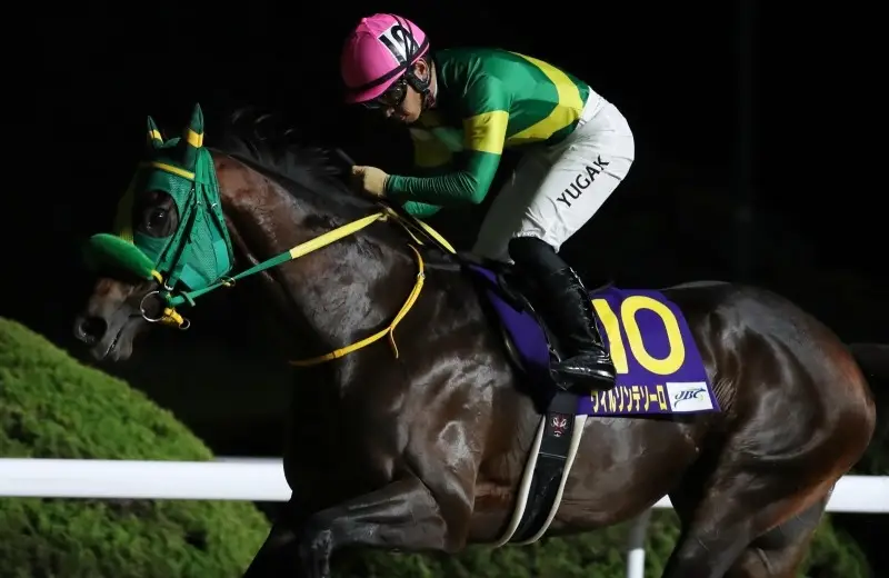 ウィルソンテソーロ、3年連続2着！チャンピオンズカップの熱い戦いを振り返る