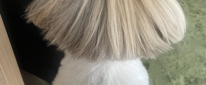 丘みどり」のYahoo!リアルタイム検索 - X（旧Twitter）を