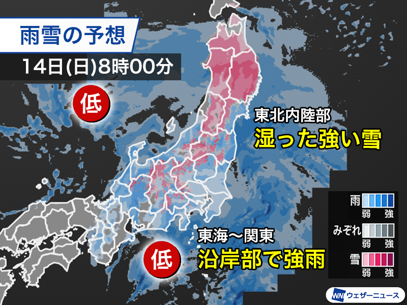 明日は雨？ 予定変更や外出控えの声も