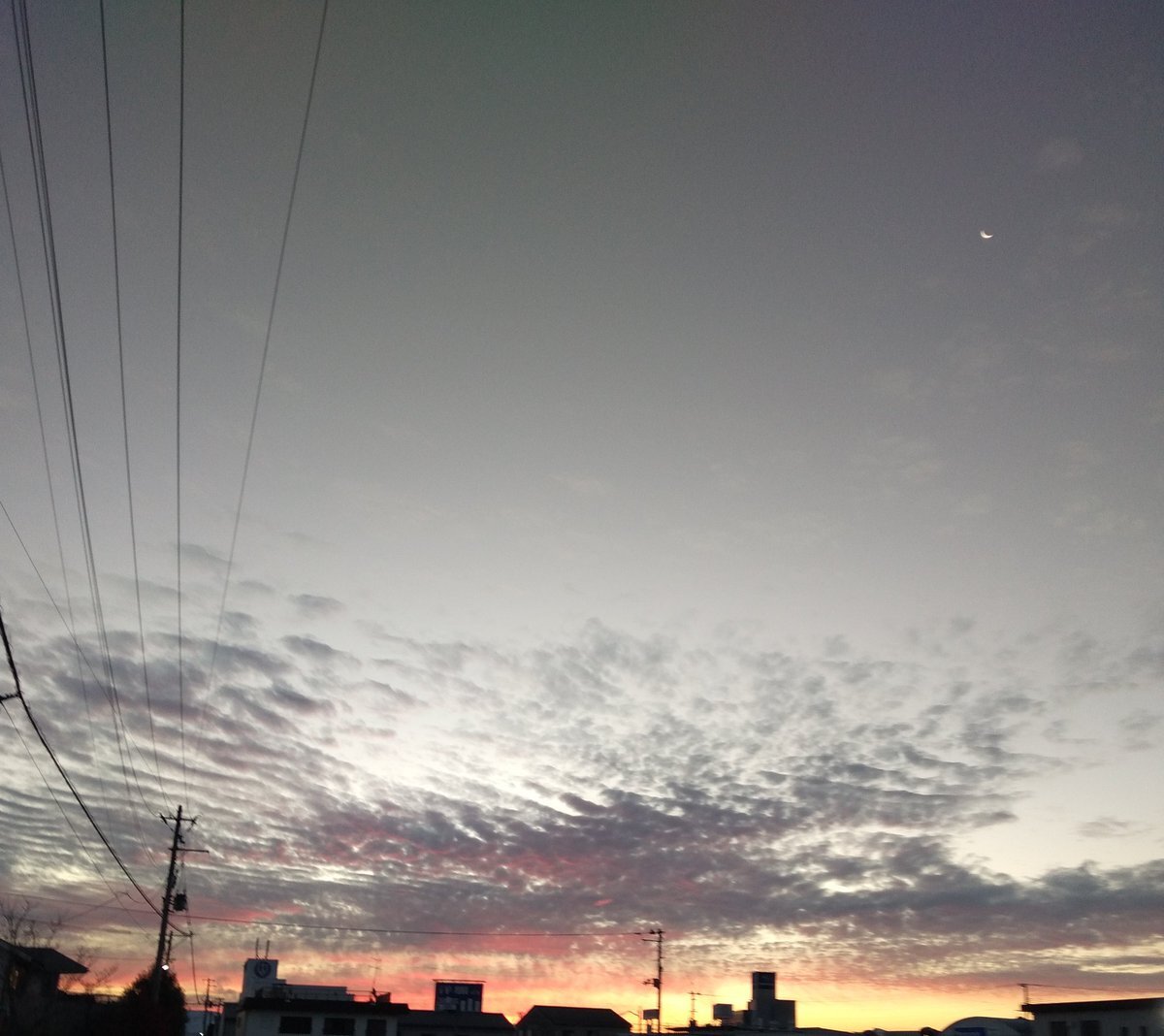 NiziUファン、メンバーの痩せ込みを心配