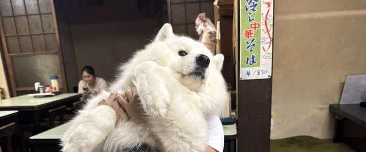 フィッシングサイト情報」のYahoo!リアルタイム検索 - X（旧Twitter