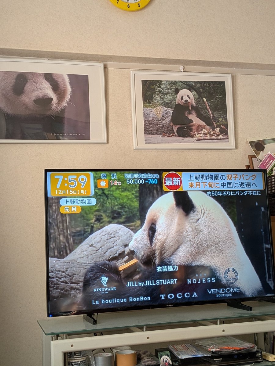 上野動物園パンダ返還へ　ファン悲しむ声多数