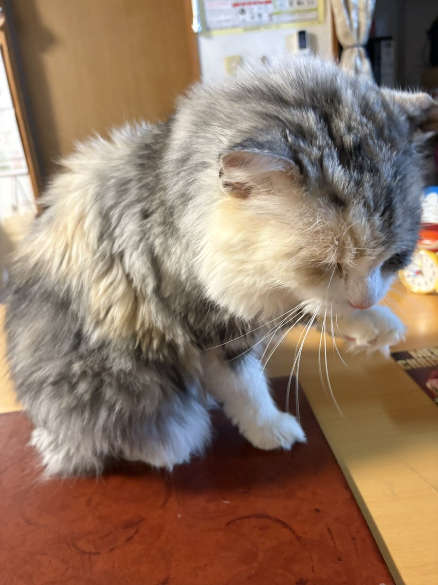 2025年12月地震、SNSで安全確認と情報共有が活発に